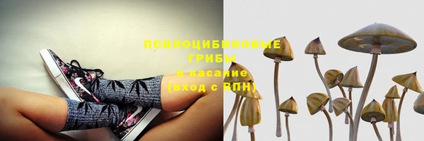 ECSTASY Бронницы