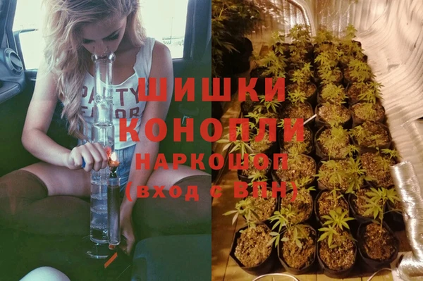 ECSTASY Бронницы